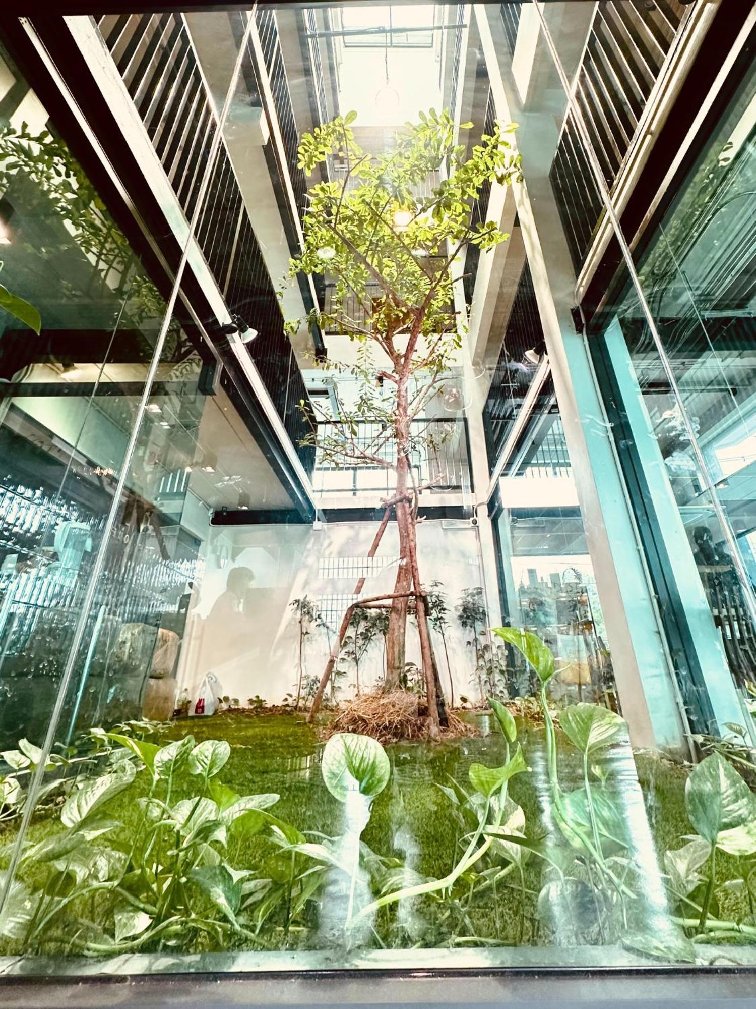 V1 Boutique Hotel 칸차나부리 외부 사진